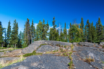 Wall Mural - Pontoon lake Territorial Park near Yellowknife, Northwest Territories, Canada