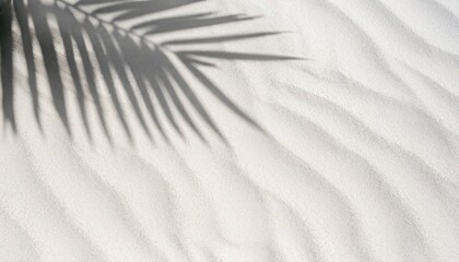 Wall Mural - palm leaf shadow on abstract white sand beach background, sun lights on water surface, beautiful abstract background concept