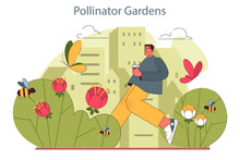 Pollinator Garden. Summer Countryside Plants And Meadow Flowers