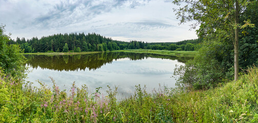 Wall Mural - Panoramic shot of pond in summer landscape