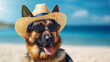Cool looking  german shepherd  wearing sunglasses and tilted straw hat. Beach and sea background with copyspace. Stylish animal posing as supermodel. Digital illustration generative AI.
