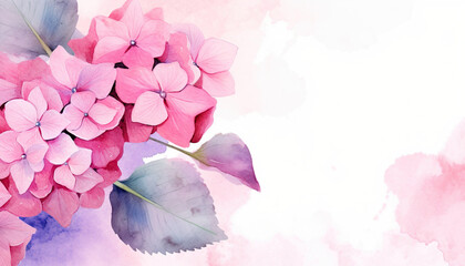 Wall Mural - floral watercolor background hydrangea flower