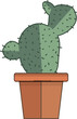 cereus cactus in a pot