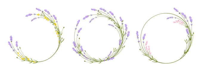 Lavender frames with flowers, circular wreath herbal design set. Hand drawn vintage laurel leaves decorative wedding elements. Botanical rustic floral branch and leaves herb monogram, postcard sticker