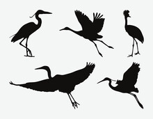 Graceful Heron Silhouettes Set, Majestic Avian Forms In Diverse Poses And Expressions