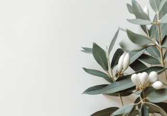 Minimalist WHITE pale leaves on a pale flat background wall — Plants and Leaves — interior design graphic resource with film grain realism — WHITE, GREEN, SIMPLE, GREY — Realistic renders