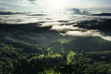 Poster - Fields on mountains in foggy morning