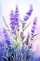 Wall Mural - watercolor lavender branches macro