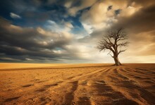 Lonely Tree In Desert With Cloudly Sky, Beautiful Landscape, Generative AI