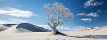 A Dry, Dead Tree Stands Alone In The White Desert Of A Barren Expanse, Under The Blue Sky. Generative AI