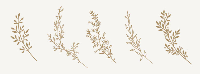 Wall Mural - Hand drawn floral botanical lines and silhouettes of branches, leaves and flowers. Trendy minimal elements of wild and garden plants. Vector illustration for logo or tattoo, invitation, save the date