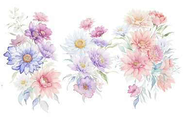 Wall Mural - Watercolor flowers on a white background without shadows for illustration.