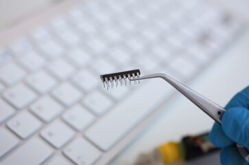 Wall Mural - An employee of computer repair service assembly keeps spare part motherboard processor with tweezers for installation using method of soldering technology development