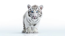 Majestic White Tiger Photo Realistic Illustration - Generative AI.