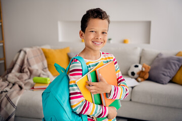 Sticker - Photo portrait of diligent schoolboy bring materials copybooks planner wear blue backpack knowledge day isolated on living room background