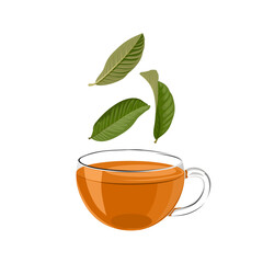 Wall Mural - Vector illustration, a cup of guava leaf tea, isolated on white background.