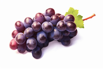 Aufkleber - Nebbiolo is an Italian red wine grape that is the star of wines like Barolo and Barbaresco. Generative AI technology