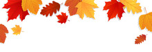 Autumn Background. Falling Autumn Leaves Banner Design. Vector Illustration