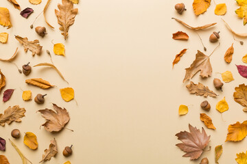 Wall Mural - autumn composition. pattern made of dried leaves and other design accessories on table. flat lay, to