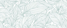 Tropical Leaf Line Art Wallpaper Background Vector. Design Of Natural Monstera Leaves And Banana Leaves In A Minimalist Linear Outline Style. Design For Fabric, Print, Cover, Banner, Decoration