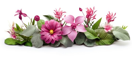 Poster - rendered indoor flowers and plants on white background