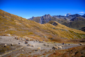 Poster - les grandes jorasses