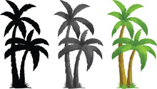Three Different Types Of Palm Trees On A White Background