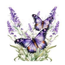 Purple Butterfly With Lavender. Watercolor Illustration. Butterflies And Flower