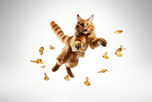 Big Red Maine Coon Cat In A Jump Catches Butterflies On A White Background.