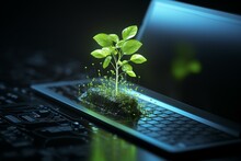 Plant On Laptop Keyboard For Green Computing. Carbon-efficient Technology. Digital Sustainability. 3D Render. Generative AI