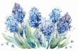Floral watercolor illustration of blue hyacinth flowers on a spring frame. Ideal for greeting and Instagram cards. Generative AI