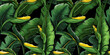Banana tree drawings seamless pattern, plantain leaves graphics. Concept: Bright jungle elements.