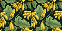 Seamless Pattern With Illustrated Banana Tree, Plantain Leaves. Concept: Vivid Island Florals.