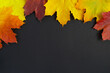 Autumn maple leaf on a dark background