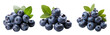 blueberries isolated on transparent background ,blueberry isolated cut out ,generative ai