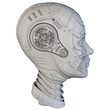 Robot woman head or detailed cyber girl. Side view isolated on transparent background. 3d rendering in wireframe