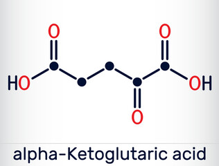 Canvas Print - Alpha-ketoglutaric acid, 2-oxoglutaric acid, oxoglutarate, alpha ketoglutarate  molecule. It is intermediate metabolite in Krebs cycle. Skeletal chemical formula. Vector