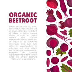 Poster - Beetroot Vegetable Crop Banner Design Design Vector Template