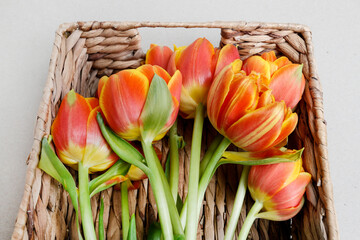 Wall Mural - Orange tulip flowers in the basket.