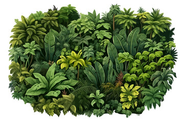 Wall Mural - jungle top view drone shot vector flat isolated illustration
