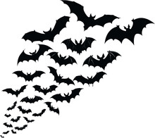 Black And White Halloween Elements Set, Cartoon Halloween Spooky Evil Silhouettes Witches Monsters And Creepy Ghost Vector Illustration Set, Happy Halloween Vector Image, Halloween Bats Silhouettes.
