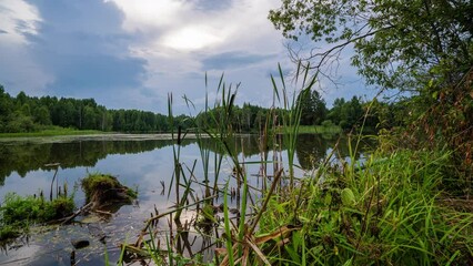 Wall Mural - Beautiful Landscape In Sunny Spring Day Timelapse moving over bog lake in nature in early summer morning. Cloudy Sky With Clouds. Natural Background. Time-lapse 4K.