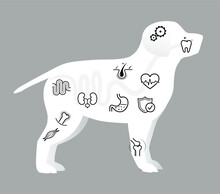 Vitality Icon Set For Dog. The Outline Icons Are Well Scalable And Editable. Contrasting Elements Are Good For Different Backgrounds. EPS10.