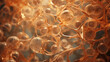 This macro image brings into focus a microscopic phloem cell. It s cell wall is a light brown color while its nucleus and sieve tube are much darker. The cytoplasm