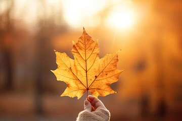 close-up of an autumn maple leaf in a female's hand