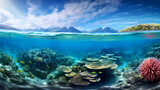 Fototapeta Do akwarium - Great Barrier Reef Australia