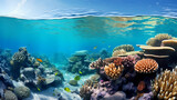 Fototapeta Do akwarium - Great Barrier Reef Australia