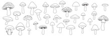Mushrooms Set In Doodle Style. Collection Of Hand Drawn Mushrooms Outline Isolated On White Background. Vector Illustration.