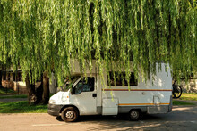 Camper Van Stands Under A Weeping Willow In The City. Vacation Trip In A Motorhome, Rest In A Van.