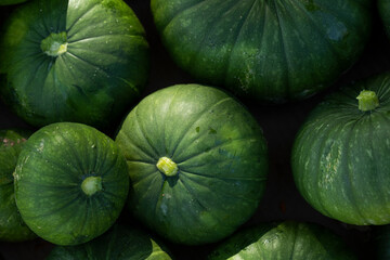 Detail close up of round green squash gourds